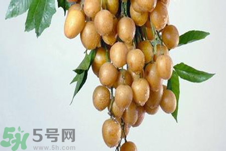 黃皮果是酸性還是堿性？黃皮果是堿性嗎？