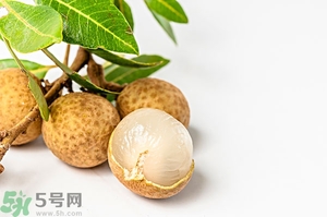 桂圓可以泡酒嗎？桂圓的功效與作用