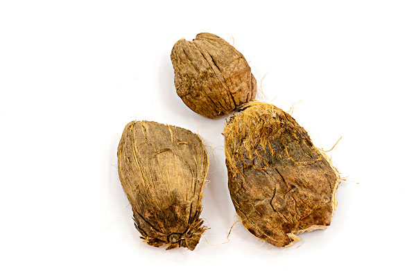 嚼檳榔的好處和壞處 嚼檳榔頭暈怎么回事？