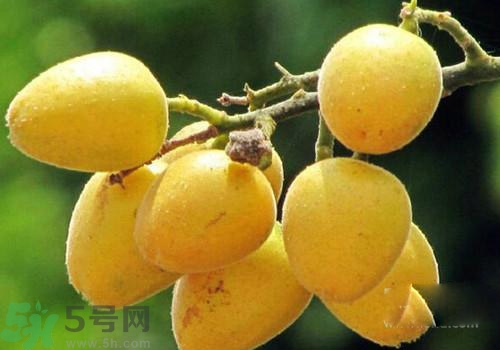 黃皮果的皮可以吃嗎？黃皮果的皮有什么作用