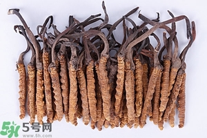冬蟲夏草是怎么形成的？冬蟲夏草是蟲子嗎？