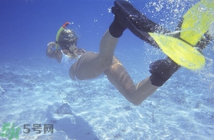 浮潛是什么意思？深潛和浮潛有什么區(qū)別？?