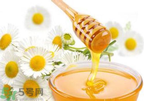 什么蜂蜜才是好蜂蜜？好壞蜂蜜的鑒別