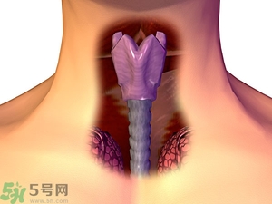 ?皰疹性咽峽炎有什么癥狀？寶寶?皰疹性咽峽炎癥狀