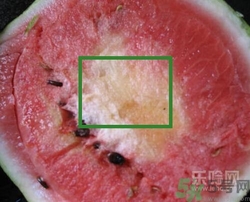 如何辨別催熟的西瓜？催熟的西瓜是什么樣的？