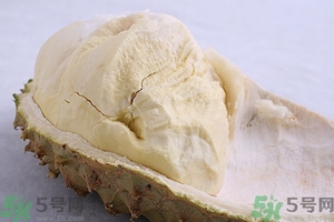 榴蓮能放冰箱嗎？榴蓮放在冰箱能保存幾天？