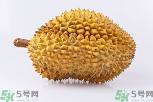 榴蓮能放冰箱嗎？榴蓮放在冰箱能保存幾天？
