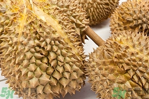 榴蓮能放冰箱嗎？榴蓮放在冰箱能保存幾天？