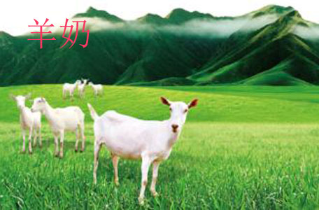 羊奶可以降血糖嗎 羊奶糖尿病的人能喝嗎