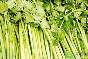 貧血能吃芹菜嗎？貧血吃芹菜好不好？