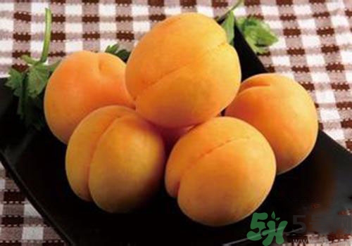 杏子是熱性還是涼性？杏子是涼性的嗎？