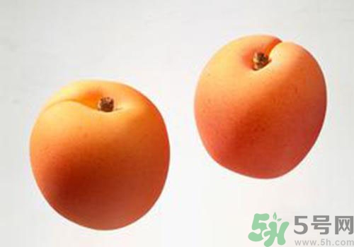 杏子是酸性還是堿性？杏子是酸性的嗎？