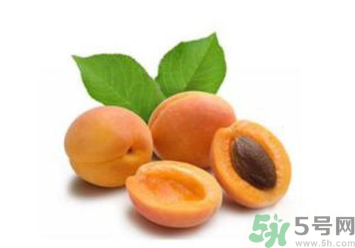 杏子上有黑點是怎么回事？杏子上有斑點可以吃嗎？