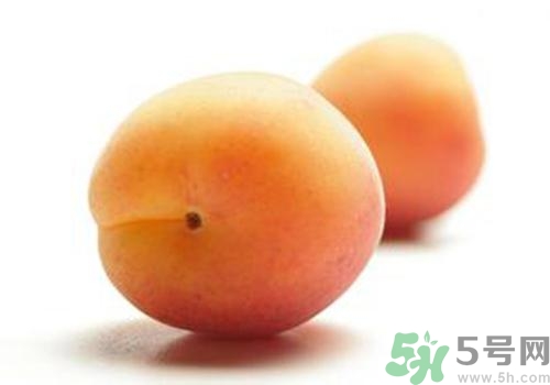 杏子有毒嗎？杏子吃了會(huì)中毒嗎？