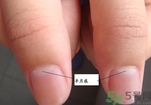指甲沒有月牙是什么原因？指甲沒有月牙怎么調(diào)理？