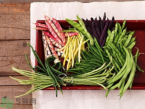 痛風(fēng)能吃豆角嗎？痛風(fēng)吃豆角行嗎？