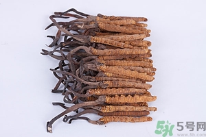 冬蟲夏草真假怎么鑒別？冬蟲夏草怎么吃效果最好？