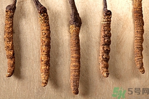 冬蟲夏草真假怎么鑒別？冬蟲夏草怎么吃效果最好？