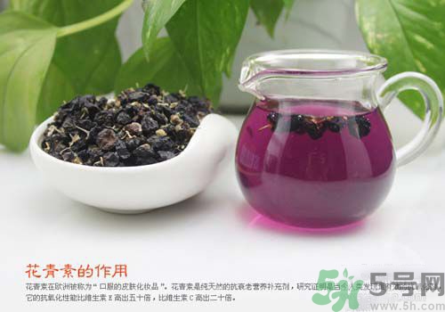 黑枸杞泡水是什么顏色？黑枸杞泡水是紫色的嗎？