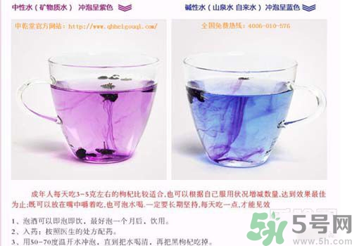 黑枸杞怎么辨別真假？怎么挑選黑枸杞？
