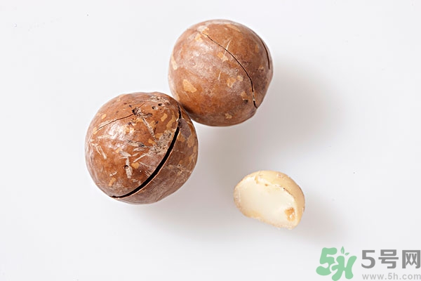 夏威夷果什么時(shí)候成熟上市？腰果和夏威夷果的區(qū)別