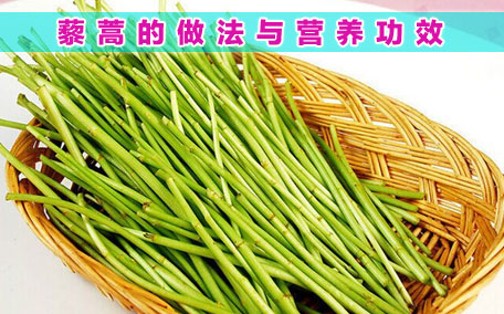 擇藜蒿手臟怎么洗？藜蒿和水芹菜的區(qū)別