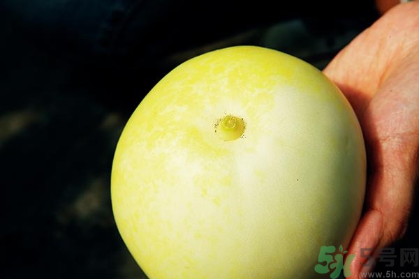 香瓜有酒味能吃嗎？香瓜有酒味吃了會怎樣？