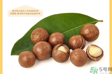 夏威夷果肉黏殼怎么辦？夏威夷果能放多久？