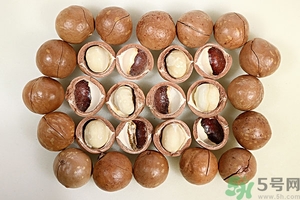 夏威夷果產(chǎn)地在哪里？夏威夷果為什么有奶香？