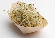 豆芽可以生吃嗎？豆芽炒粉條的家常做法