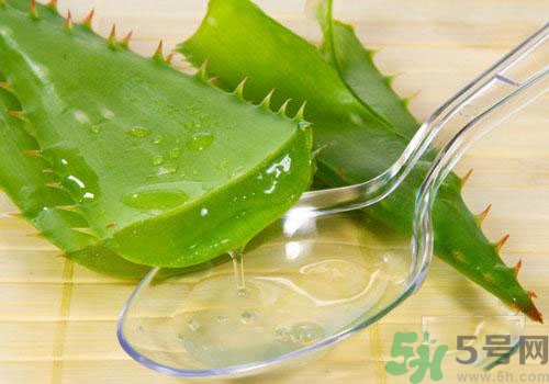 孕婦可以用蘆薈膠嗎？蘆薈膠孕婦可以用嗎？