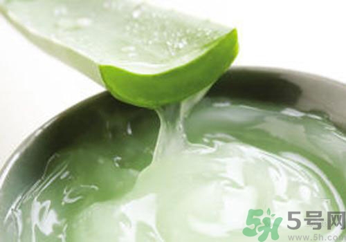 孕婦可以用蘆薈膠嗎？蘆薈膠孕婦可以用嗎？