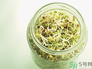 吃豆芽會(huì)胖嗎？豆芽會(huì)不會(huì)讓人長(zhǎng)胖？
