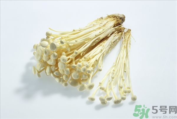致癌金針菇怎么鑒別？如何選購金針菇？