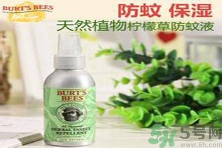驅(qū)蚊液可以驅(qū)蒼蠅嗎？驅(qū)蚊液可以驅(qū)走什么蟲子？