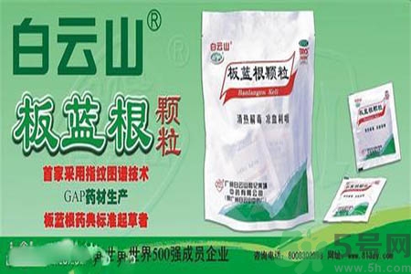 感冒了吃板藍根有效嗎？感冒了吃板藍根有用嗎？
