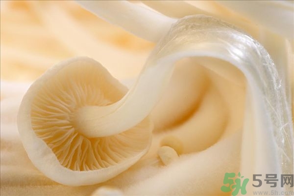 致癌金針菇怎么鑒別？如何選購金針菇？