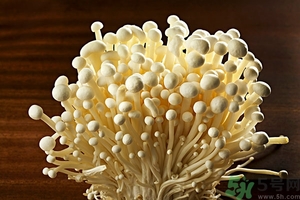 致癌金針菇怎么鑒別？如何選購金針菇？