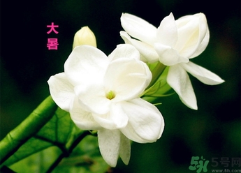 大暑是幾月幾日？大暑是什么意思？