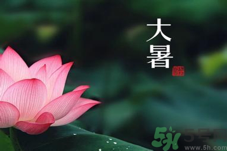 大暑是入伏嗎？大暑是最熱的時候嗎？