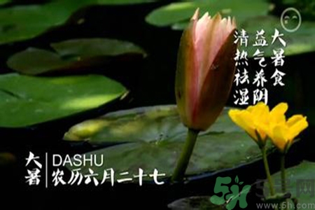 大暑吃什么養(yǎng)生？大暑吃什么好？