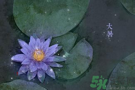 大暑吃什么養(yǎng)生？大暑吃什么好？