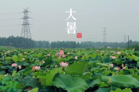 大暑吃什么水果？大暑吃什么水果養(yǎng)生？