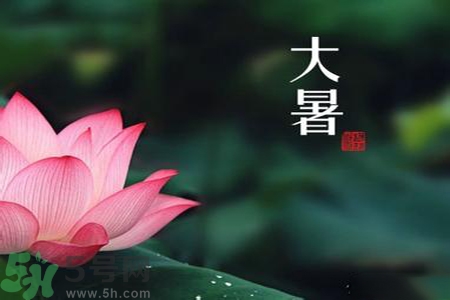 大暑為什么要吃羊肉？大暑吃羊肉的原因