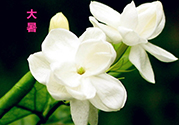 大暑是入伏嗎？大暑是最熱的時(shí)候嗎？