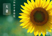 大暑是幾月幾日？大暑是什么意思？