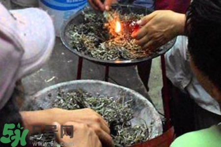 夏天可以用艾草驅蚊嗎？夏天可不可以用艾草驅蚊？