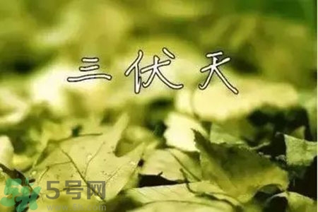 三伏天什么時(shí)候開始？三伏天是什么意思？