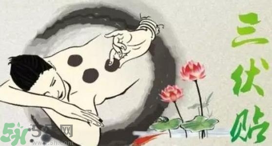 三伏貼的印子怎么去掉？三伏貼的印記多久才會消失？