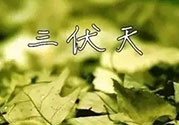 三伏天吃什么？三伏天傳統(tǒng)美食有哪些？